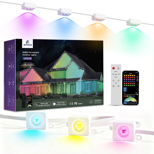 APPECKPermanentOutdoorLights-C5111-BW