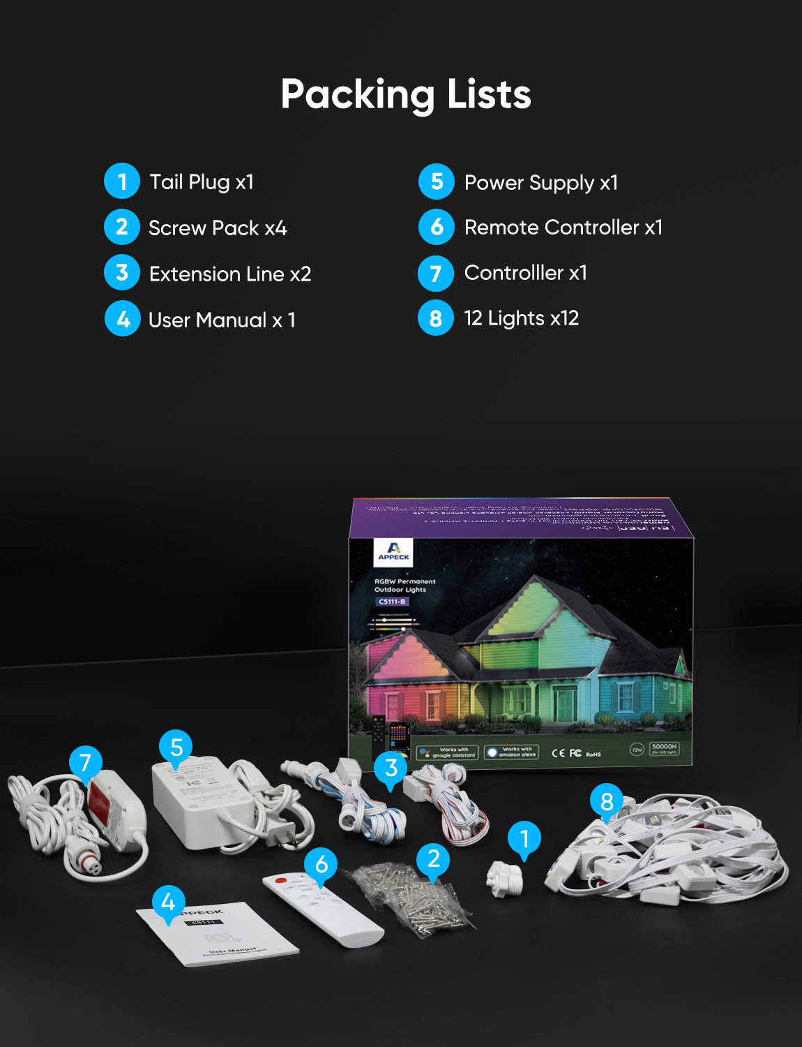 APPECKPermanentOutdoorLights-Lists-C5111-BW