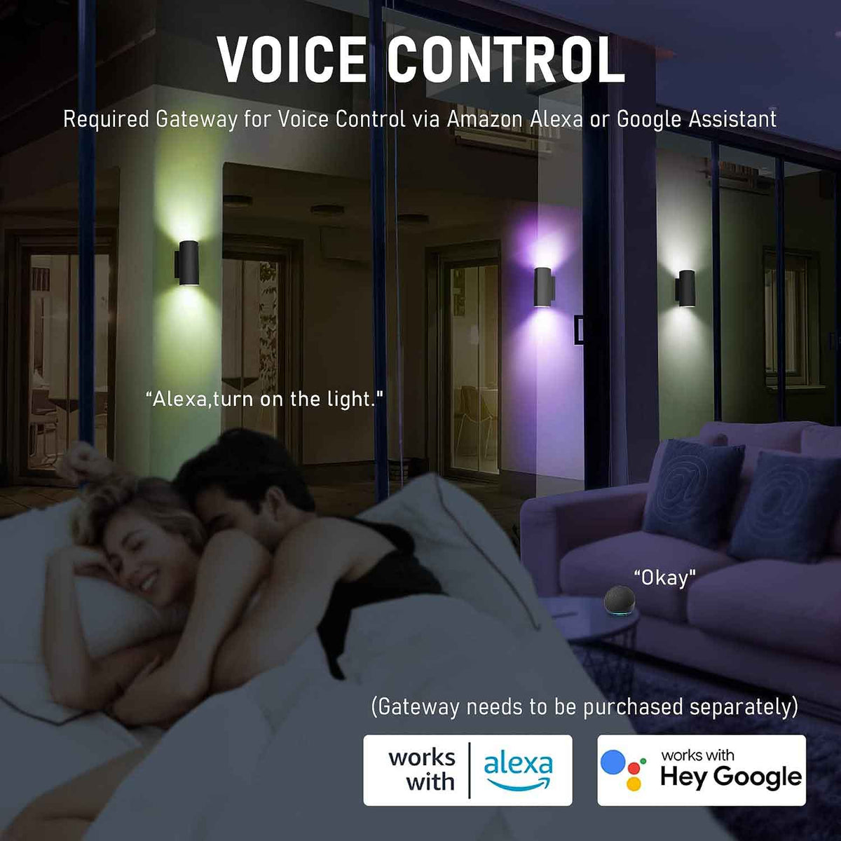 APPECK_Smart_Outdoor_Wall_Lantern-Voice_Control