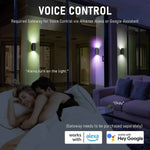 APPECK_Smart_Outdoor_Wall_Lantern-Voice_Control
